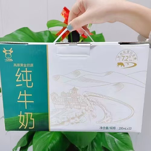 广东仲恺高原黄金奶源纯牛奶10瓶